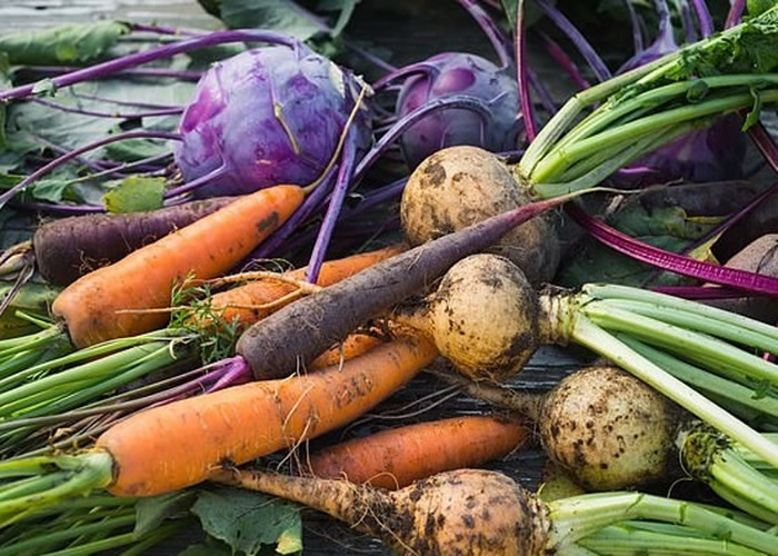 �����Ĭ˹������ѧ�����л������Ի���Ӱ������