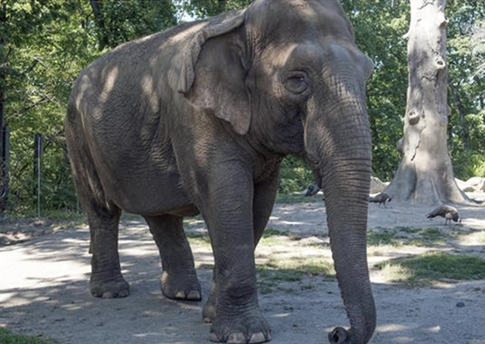 ������������ͨ��������ֹ�������ô���ȶ���������