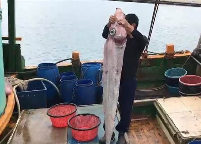 ���������Ʋ⣬����Ӧ���Ǳ��������ġ�