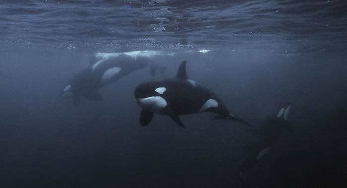 ˹̫ƽ󽢶׼̬ѧ˳ڡ߽ĻͰ׾