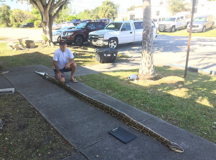 ���������������������John Hammond�ڴ�����ز���5.5�׳�������