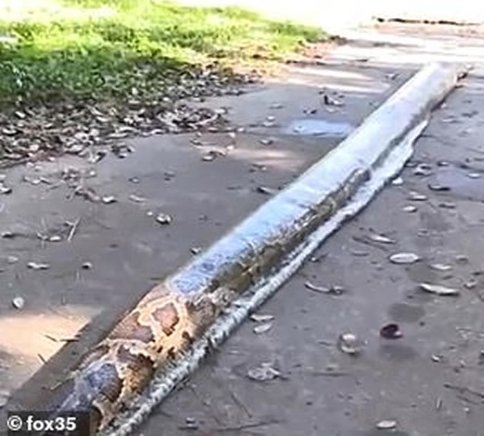 ���������������������John Hammond�ڴ�����ز���5.5�׳�������