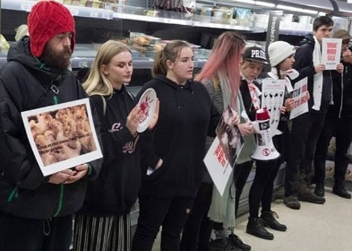 ʾ�������ڳ������ǰ��