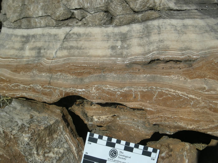 研究发现南非早期人族的化石记录偏重于气候较干旱时期 暗示可能存在化石记录空白
