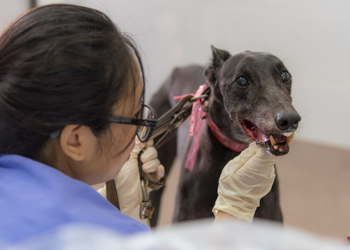 �ӹ��˵�������� ������԰����500����Ȯ�ִ�������������