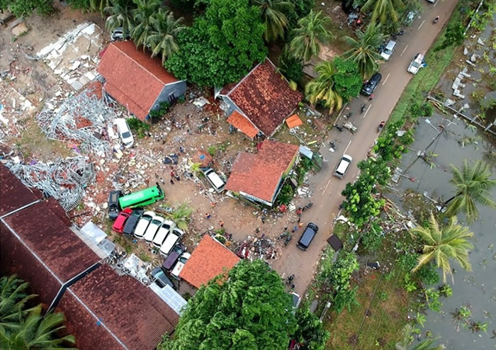 Ԥ������ӡ�������ֻ����ܺ�Х��Ϯ��