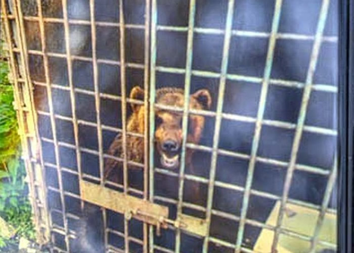 �����ѱ���ɱ��