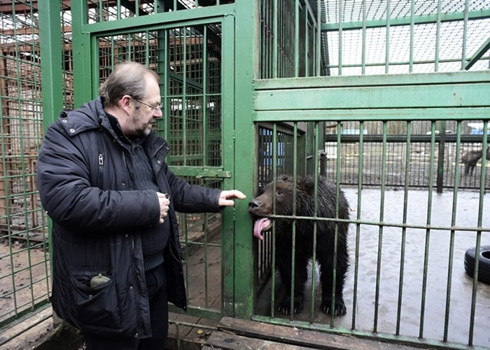 �Ѱ¶��޷�̹�Ծ�Ӫ���ס�