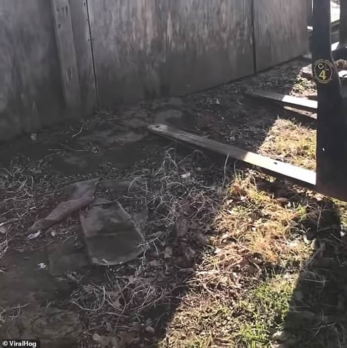 ��������ʥ�������ũ���ذ��²���36������