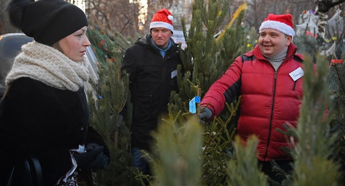 ʥ���ڹ���ʥ�������͵����