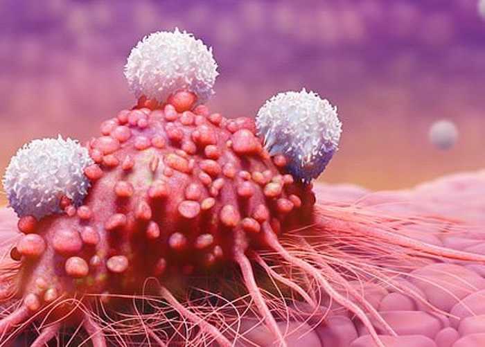 英国研究团队研发新的免疫疗法。