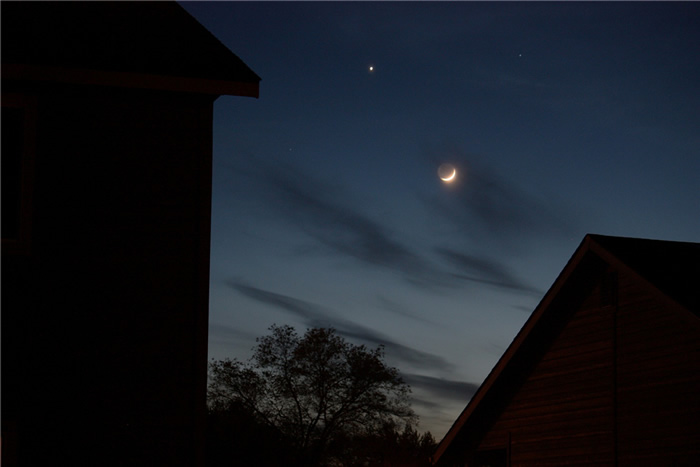 2019��1��6�ս��������