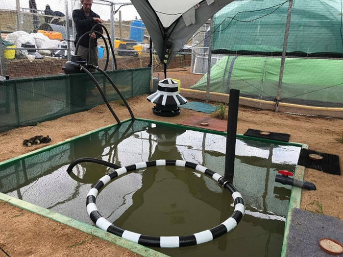 ����������Ӣ����ʪ�ظĽ��������������顣