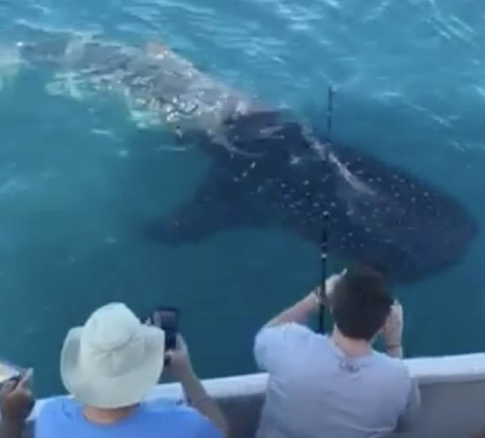 �������������Ƥ��˹���洬�Գ���6�׳�����