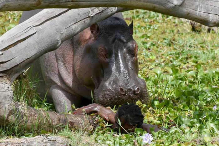 �������Ӱʦ�ڿ��������¿ֲ�˲�䣺������ˮ����������� ֻʣ����ˮ����