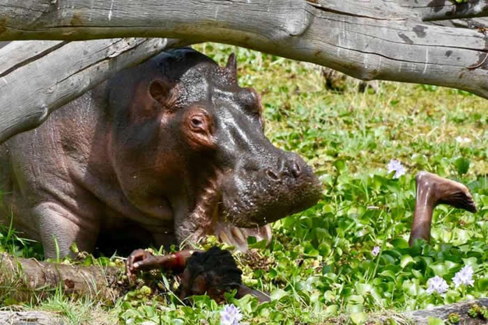 �������Ӱʦ�ڿ��������¿ֲ�˲�䣺������ˮ����������� ֻʣ����ˮ����