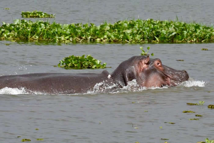 �������Ӱʦ�ڿ��������¿ֲ�˲�䣺������ˮ����������� ֻʣ����ˮ����