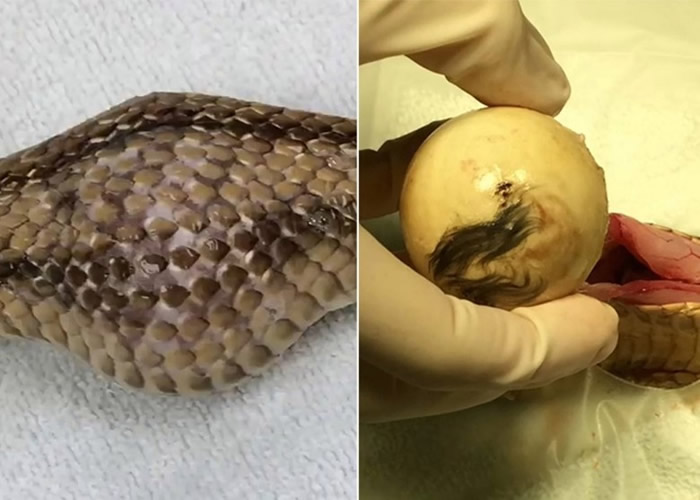 �������������һ�������߲�������һ��ƹ����