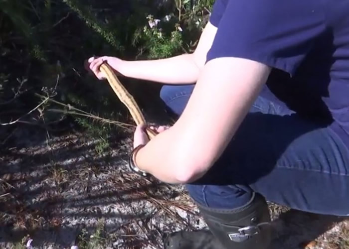 �������������һ�������߲�������һ��ƹ����