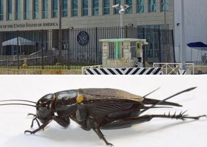 ��β����Ϊ��������������Ļ����֡�