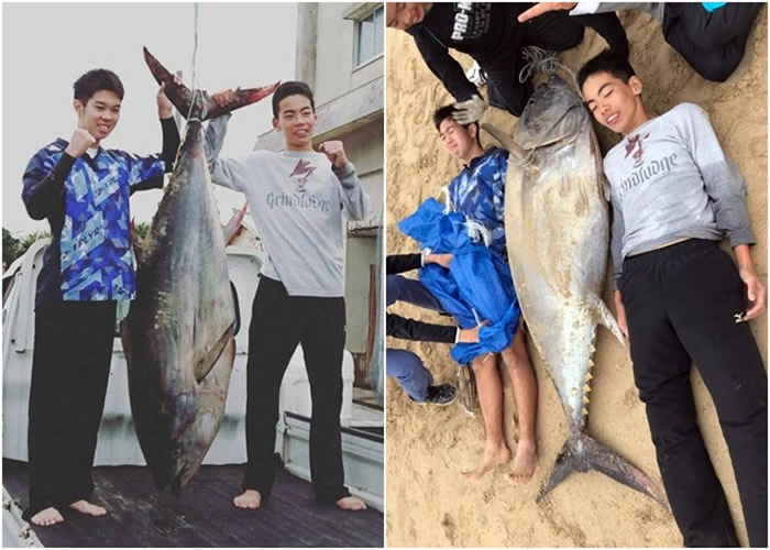 ɽ�£���ͼ����ͼ�󣩺���ɽ����ͼ����ͼ�ң������������ǳ��޴�