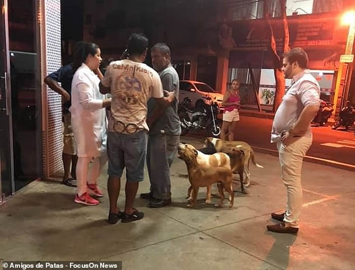 �������˺��з���Ժ 6ֻ��Ȯ׷�Ȼ�����ҹ��������