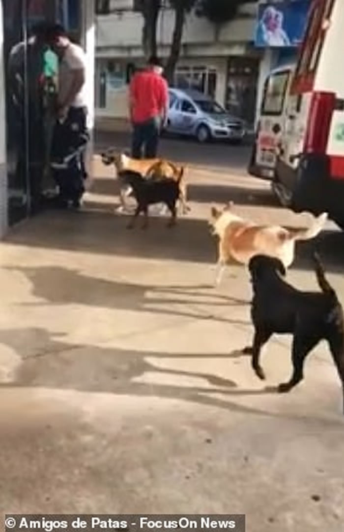 �������˺��з���Ժ 6ֻ��Ȯ׷�Ȼ�����ҹ��������