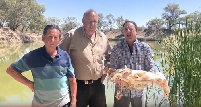 ��������ʿ����ӳ��ֻ���Σ�� ����ǰ�̵���Ա�������ܷõ���Ż��