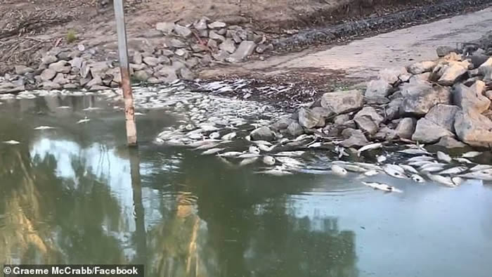 ��������ʿ����ӳ��ֻ���Σ�� ����ǰ�̵���Ա�������ܷõ���Ż��