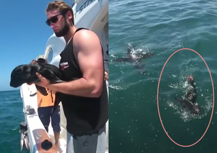 �Ϸǡ�������ޡ�Ұ��С�������������� ���λ����������ϴ������뿪