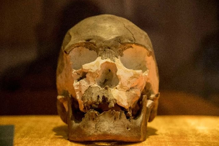 最新研究结果确认中国最北的早期人类“扎赉诺尔人”年代距今1万余年
