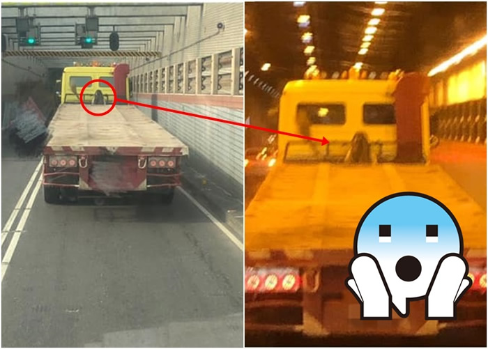 ̨�����������������󣿡���ҹ���塷�еġ����ӡ��ʸ�����������