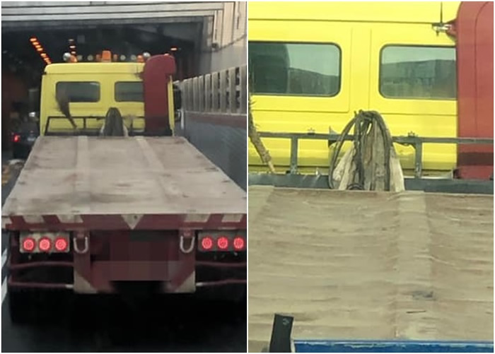 ��ϸ�����ŷ��ֻ����ϵġ���Ӱ��ֻ�������ҷ��γɡ�