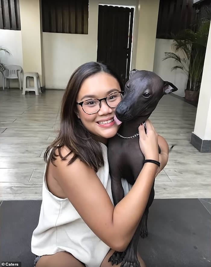 菲律宾奎松市一只“墨西哥无毛犬”似雕像惹网民热议