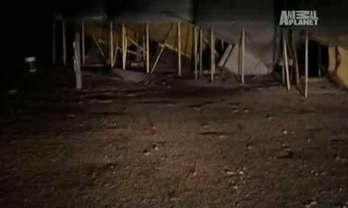 �ܼ��־����룡��������������ֲ�Ϯ��