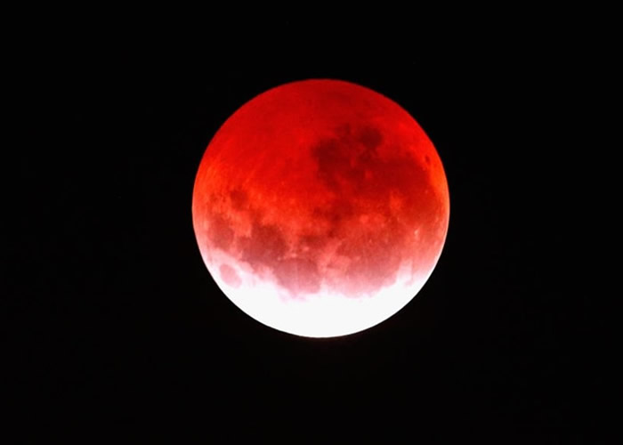 ŷ���������񼴽��ɹ��ͳ���Ѫ���¡�