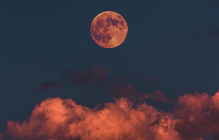 2019��2��19������������