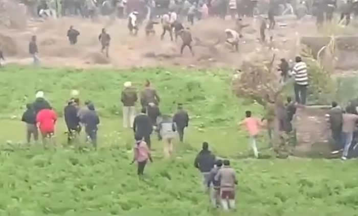 印度北部旁遮普邦野豹误闯村庄见人就咬