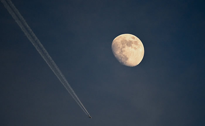 ˹ѧԺԺʿѧ֪γɵԭ