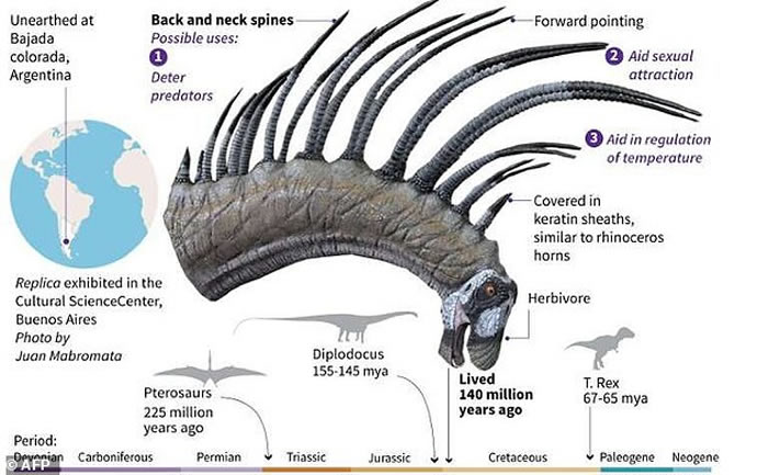 ͢ǷֲƷֿBajadasaurus pronuspinax ⳤ