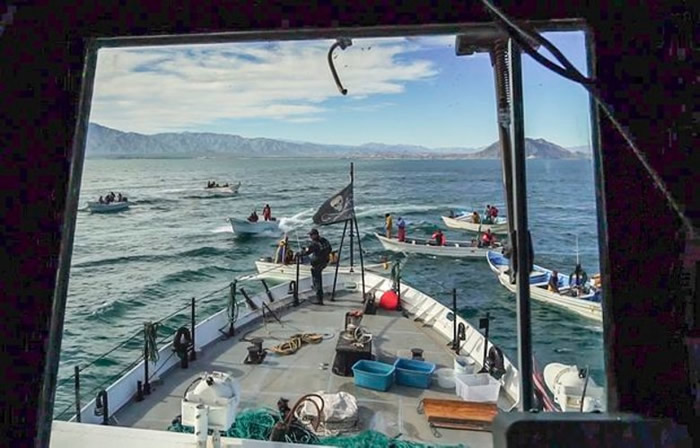 ������֯���������ˡ���ī�����ذ���ֹ����Σ����Σ��Сͷ���ࡱ���⵽����