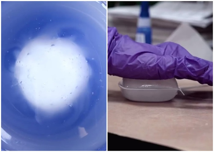 ������ʡ����ѧԺ�з����ܡ�����ҩ�衱 θ�й۲콡������