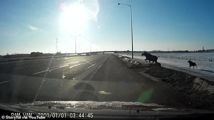 ôһͷ¹·ϲʧ Щ⳵ײ