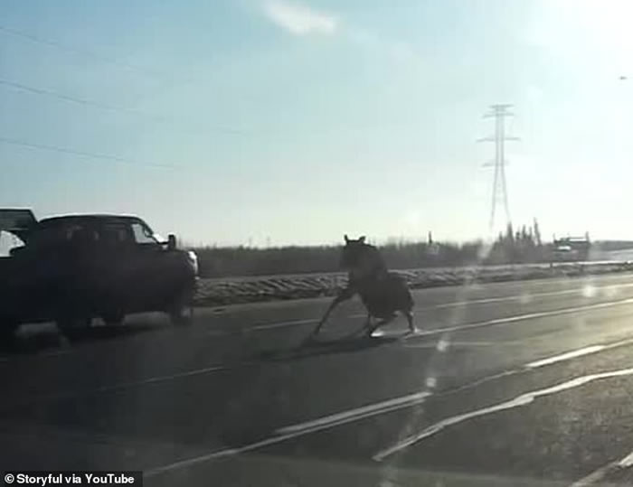 ôһͷ¹·ϲʧ Щ⳵ײ