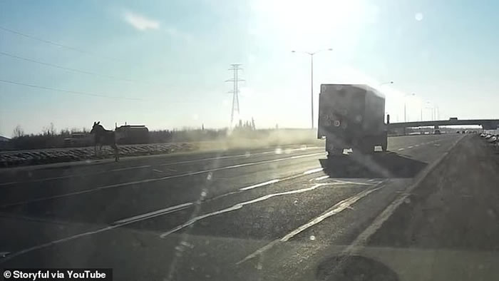 ôһͷ¹·ϲʧ Щ⳵ײ