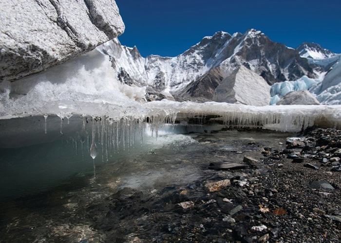 喜马拉雅冰川因气候转变大规模融化。