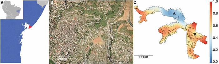 ����ƶ����еĵǸ����������ɷ���կ��������Ⱦ