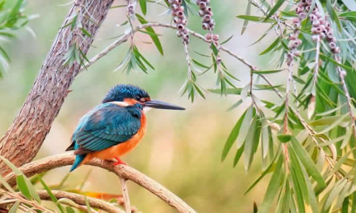 ���ʱ�����ʩ�ͺ��ڶ��ܵ�ó����в���ֵĿ�ѧ����