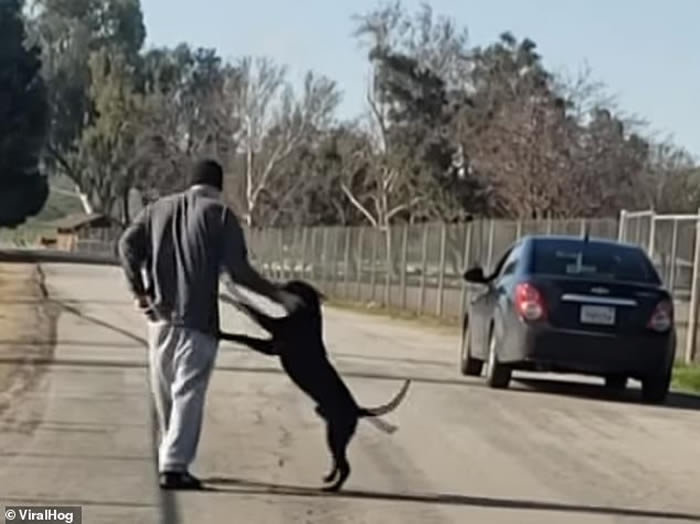 ����������������������Ȯ ��������ſ����׷�����⳵ײ