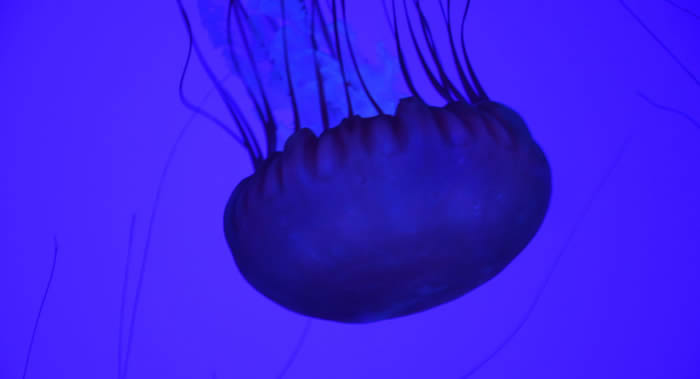 ձһĺˮĸоǿͿԵĻ